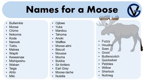 cartoon moose name